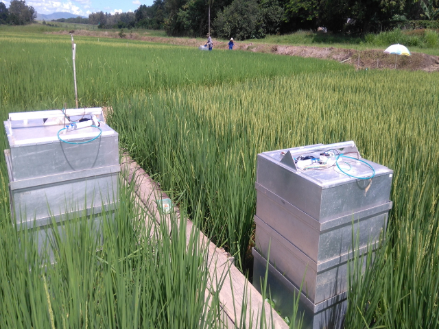 embrapa's tweet photo. Experimento com arroz irrigado contribui para inventários nacionais de emissão de gases de efeito estufa. Saiba mais: https://t.co/M3LOrj86Oa #MudançasClimáticas #GEE #PlanoABC #CiêncianoAgro https://t.co/5umXYcdCUl
