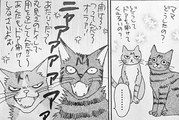 【宣伝】茜新社のBL雑誌「OPERA」さんで猫エッセイ「麦と米 2匹の猫と暮らす日々」描いてます?? 