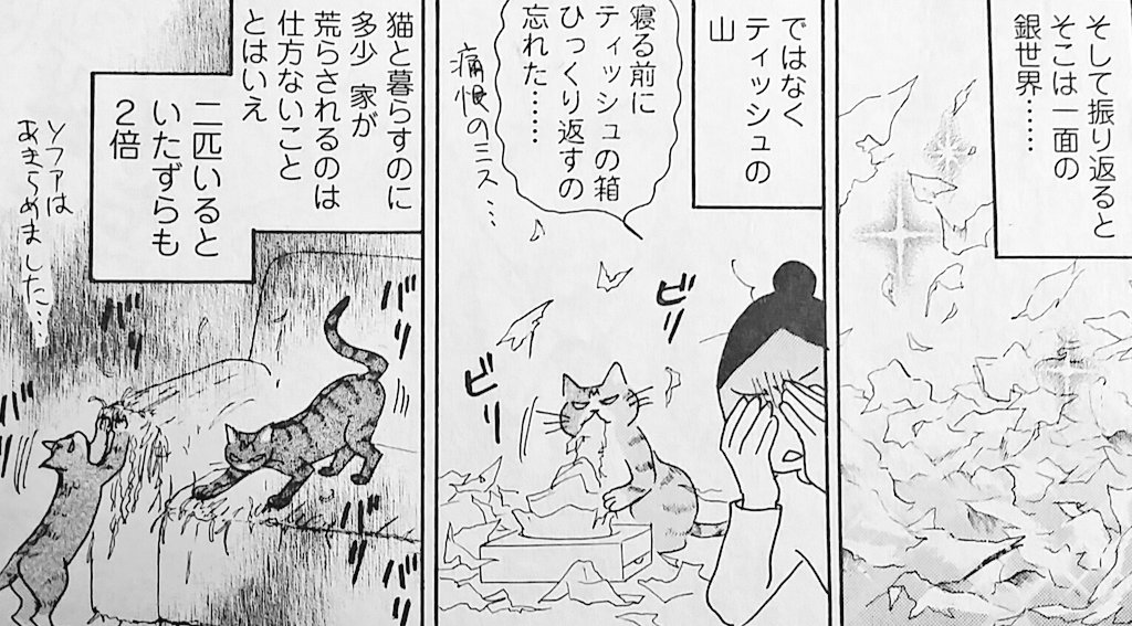 【宣伝】茜新社のBL雑誌「OPERA」さんで猫エッセイ「麦と米 2匹の猫と暮らす日々」描いてます?? 
