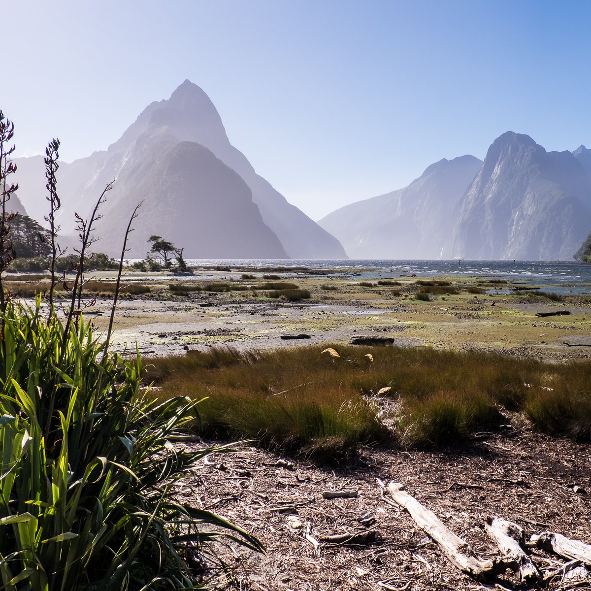 goTRAVAA's tweet photo. So surreal, they filmed Alien: Covenant here .. #milfordsound #alienmovie #kiwiexperience #newzealand #kiwisummer #travel #traveltheworld #travelwithme #visitnz #travelnz #travelnewzealand #nztravel #travelnzwithme #nzsouthisland #milford #travelplanner #itineraryplanner #travaa https://t.co/sXlYjEhoX3