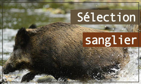 cotechasse's tweet photo. Une vaste gamme pour la #chasse du #sanglier, avec une sélection 100% made in Côté-Chasse pour vous proposer les meilleurs produits aux meilleurs prix
https://t.co/KbXfyvWq2Q https://t.co/EkvFPzpaVG
