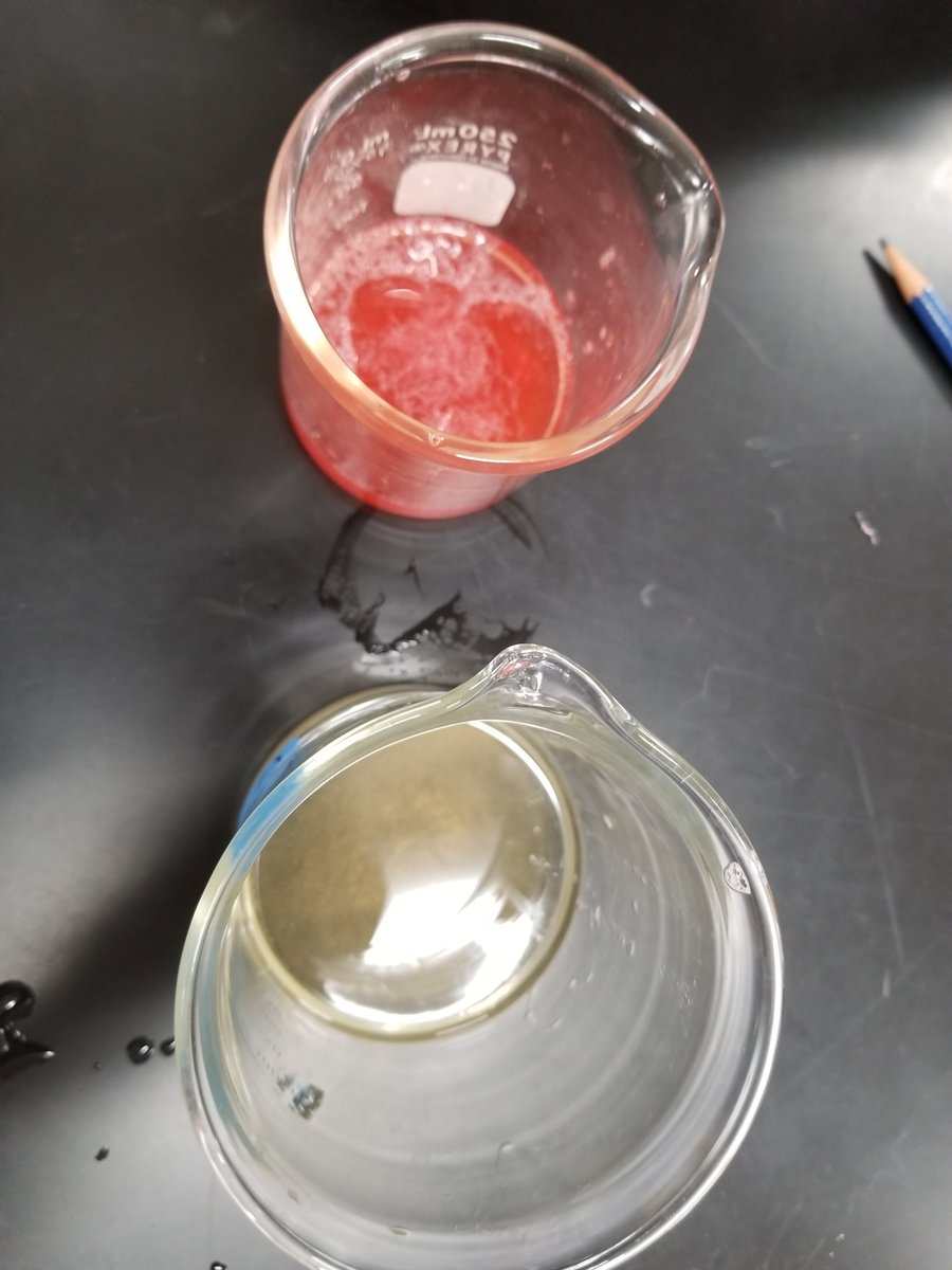 MrsCalkinsBio's tweet photo. Extracted DNA to compare which has more: Strawberries or Bananas! Strawberries are the winner! #IBinquiring #mypbio @grcollegiate https://t.co/UPnpL6dEO0