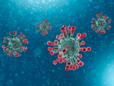 rendering of the coronavirus