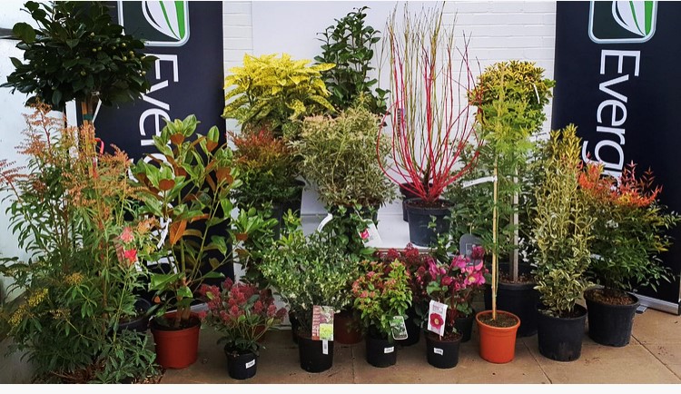 EvergreenExt's tweet image. Please click on the link to see our special offers available this week 27/01/2020 - 01/02/2020 (inclusive). evergreenext.co.uk/wp-content/upl…