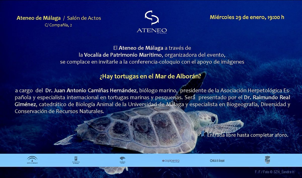 ForoMarAlboran's tweet photo. El @ateneomalaga acoge el acto organizado por la vocalía de Patrimonio Marítimo "¿Hay tortugas en el mar de Alborán?"🐢que impartirá nuestro compañero Juan Antonio Camiñas y presentará el biólogo Raimundo Real.

📍Miércoles 29, 19.00 horas

#MarDeAlborán #Tortugas #Biología https://t.co/ZfdlZVvX88