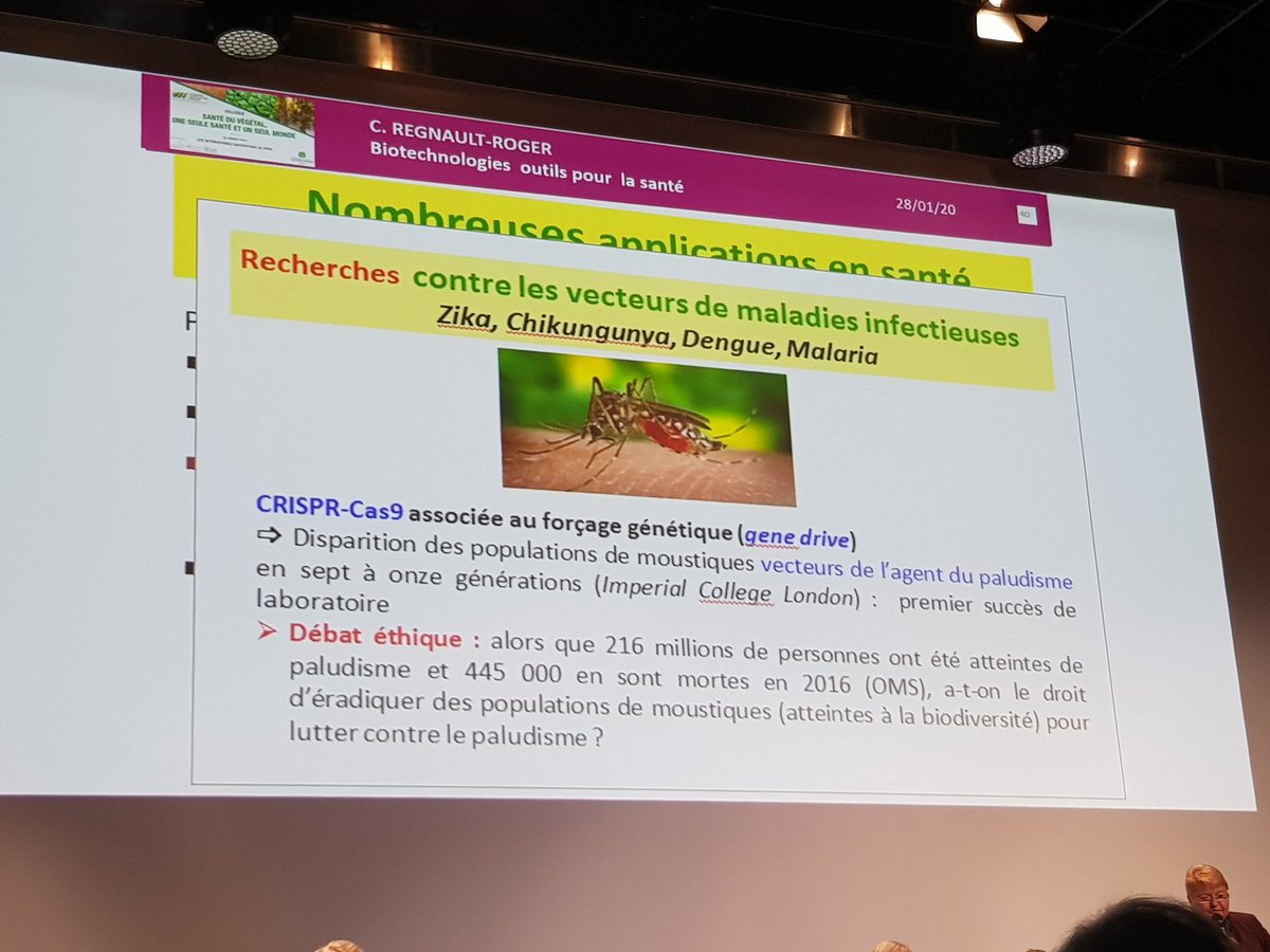 Frank Garnier tweet media
