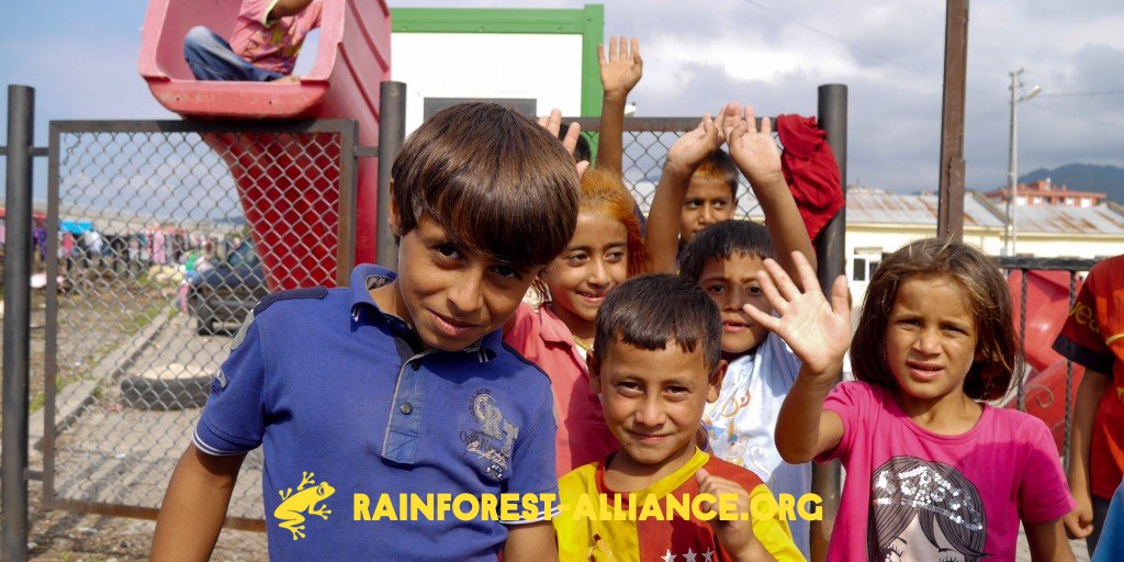 RnfrstAlliance's tweet photo. 3) It’s estimated that 41% of Turkey’s seasonal #hazelnut workers are under 18, and of these around 50% are under 15. Children travel with their parents for the hazelnut harvest—to earn extra income for their family and due to the lack of childcare facilities.
#TakingNextSteps https://t.co/CASKJ1C33w