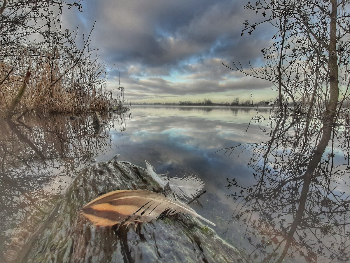 Lower Mill Estate tweet media