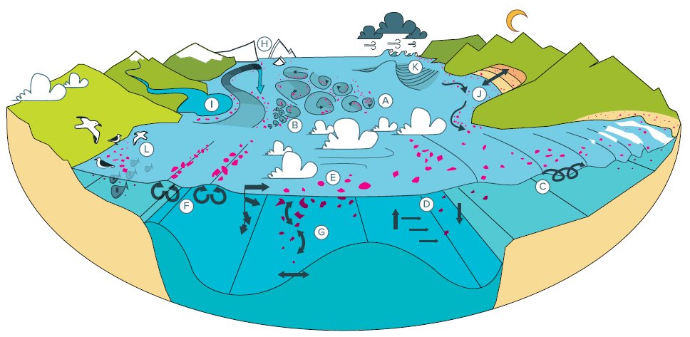 MelanieBergma18's tweet image. Our comprehensive review on #ocean #plastic dispersal led by @ErikvanSebille🙏🏾is out: The physical oceanography of the transport of floating marine #debris @IOPscience
@klavlaw @wichm_d @StefanoAliani @Giuseppe_Suaria
@oceanegger @sptwee @modellinghouse 👇🏿
doi.org/10.1088/1748-9…