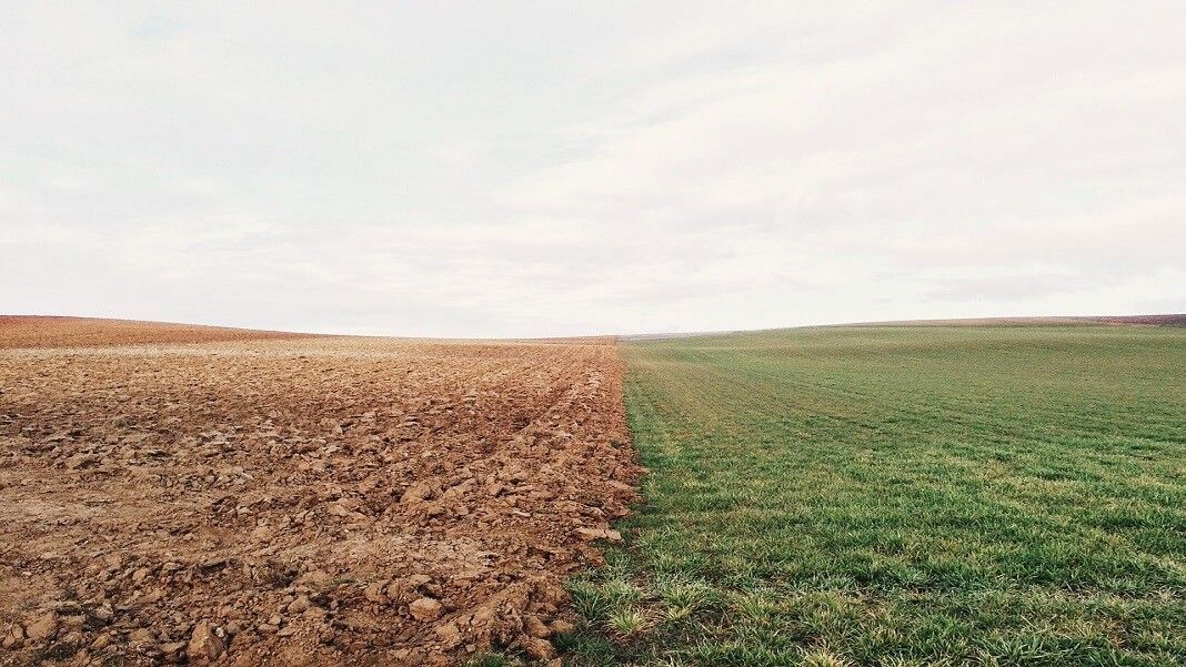 SUKenyaSummit's tweet photo. Precision Fermentation: What It Is, and How It Could Make Farming Obsolete https://t.co/395ZVUMNrm https://t.co/MwlWZRDXDD