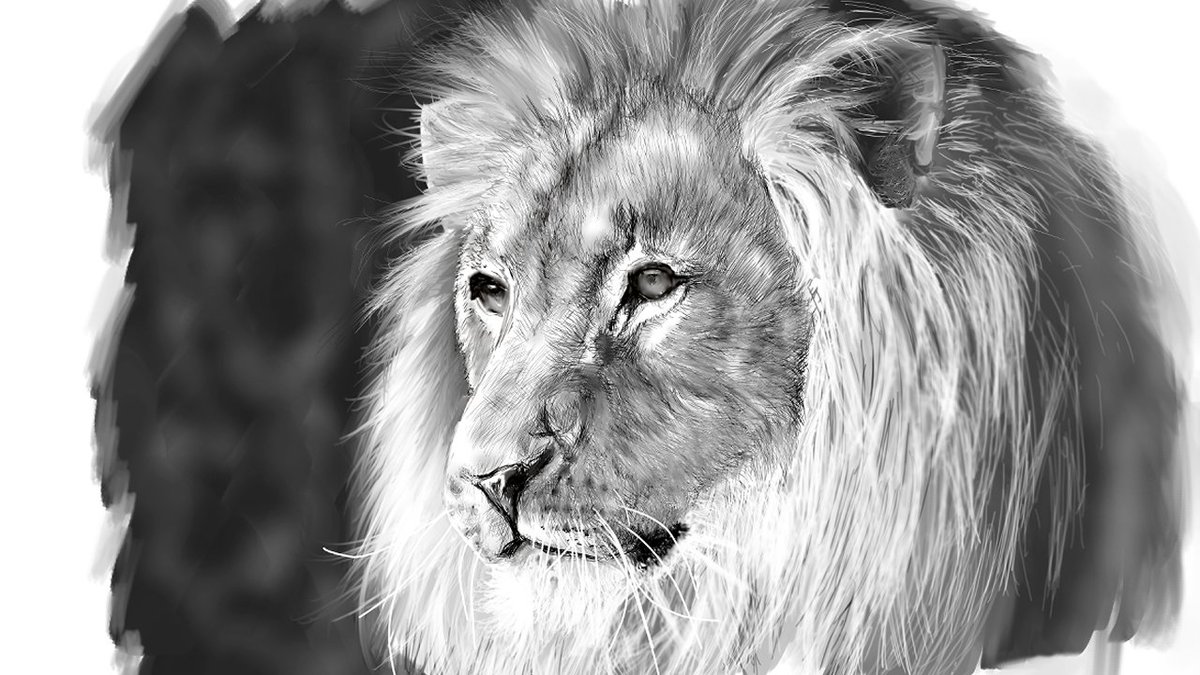 𝓡𝓮𝓪𝓵𝓓𝓻𝓪𝔀𝓲𝓷𝓰 リアル絵情報ブロガー ライオンのデジ絵 描きました たくさんの方に見てもらえたら嬉しいです ｪ 絵 スケッチ イラスト ライオン デジタル絵 デジタルイラスト Realisticart