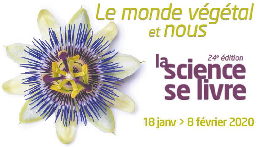 Stimuli_Asso's tweet photo. Le sucre des plantes à tous les étages ! C'est le programme de la conférence ce mardi à 20h à @medsuresnes par Rozen Le Hir de @INRAE_IDF et l'illustration en direct par @boutanox. Conf dessinee conçue par @Stimuli_Asso pour #LSSL2020 et @2020anneeBd https://t.co/w5v8OzaqYH