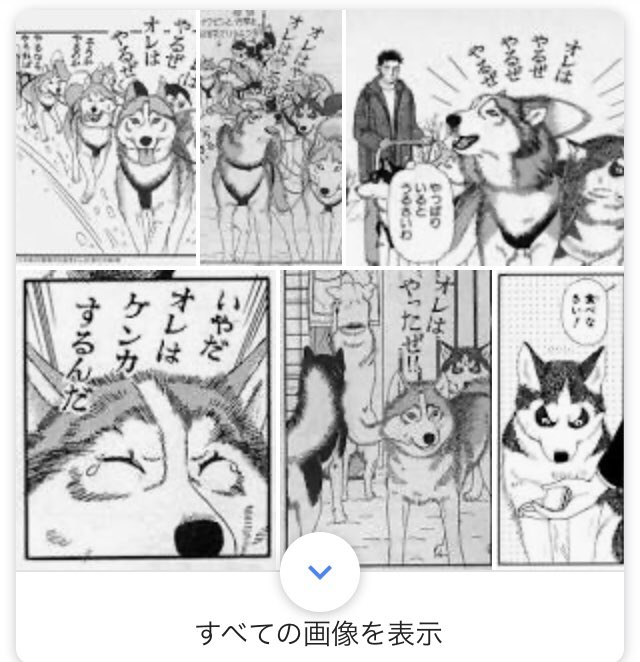 ベストコレクション そうかやるのか やるならやらねば 1593 そうかやるのか やるならやらねば