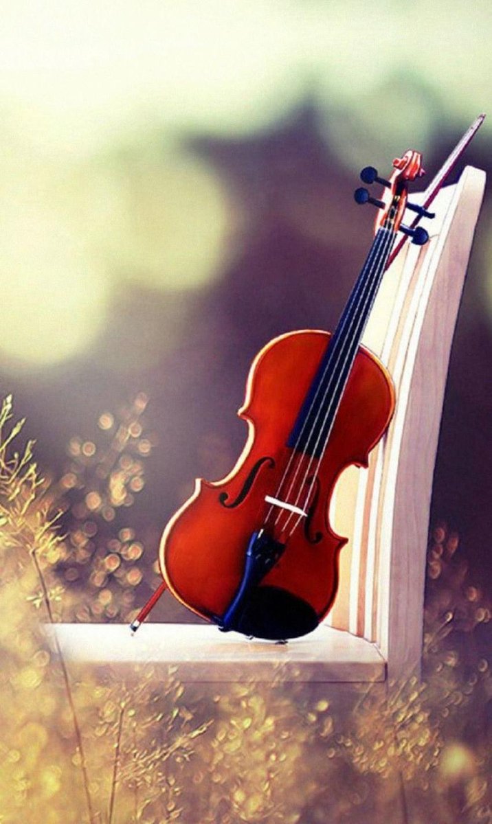 AmaliaWolf9's tweet photo. Un ricordo è molto più di ciò che rappresenta...
Molto spesso è il futuro e tutto ciò che si nasconde nelle pieghe oscure di ogni cammino...
E tutto è Vite!! 🎻✨
https://t.co/ZnEX3qqimd
#Amaliawolf
#GregorioCain
#amoremio
#grandeamore
#unico
#indispensabile
#poetaurbano
#scrit https://t.co/IUuHjksxm6