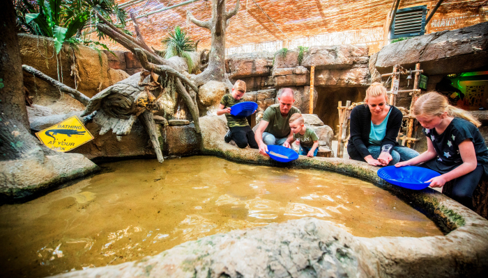 Wanneer de basisscholen staken op 30 en 31 januari biedt <a href="/AVONTURIA/">AvonturiaVogelkelder</a>  een compleet programma aan #staking >> denhaag.com/nl/avonturia-d…