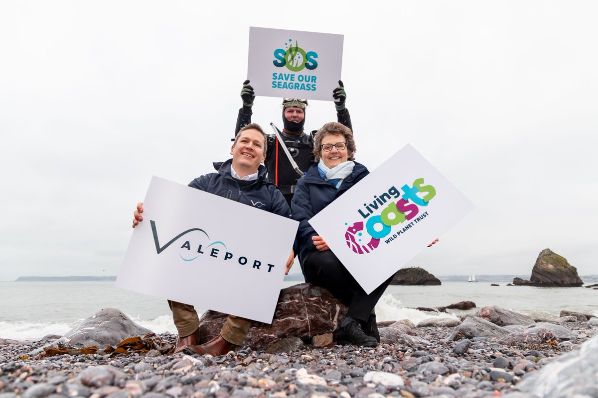 Teledyne Valeport tweet media