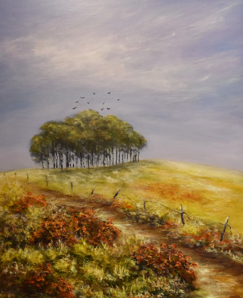 lane_gallery tweet picture