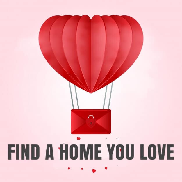 REMAXNEHouston's tweet photo. Looking for a new home, we’ll help you fall in love by Valentines Day! Give us a call ♥️🏡♥️ https://t.co/LtHNEFnBAx https://t.co/zDJw9ot6pL