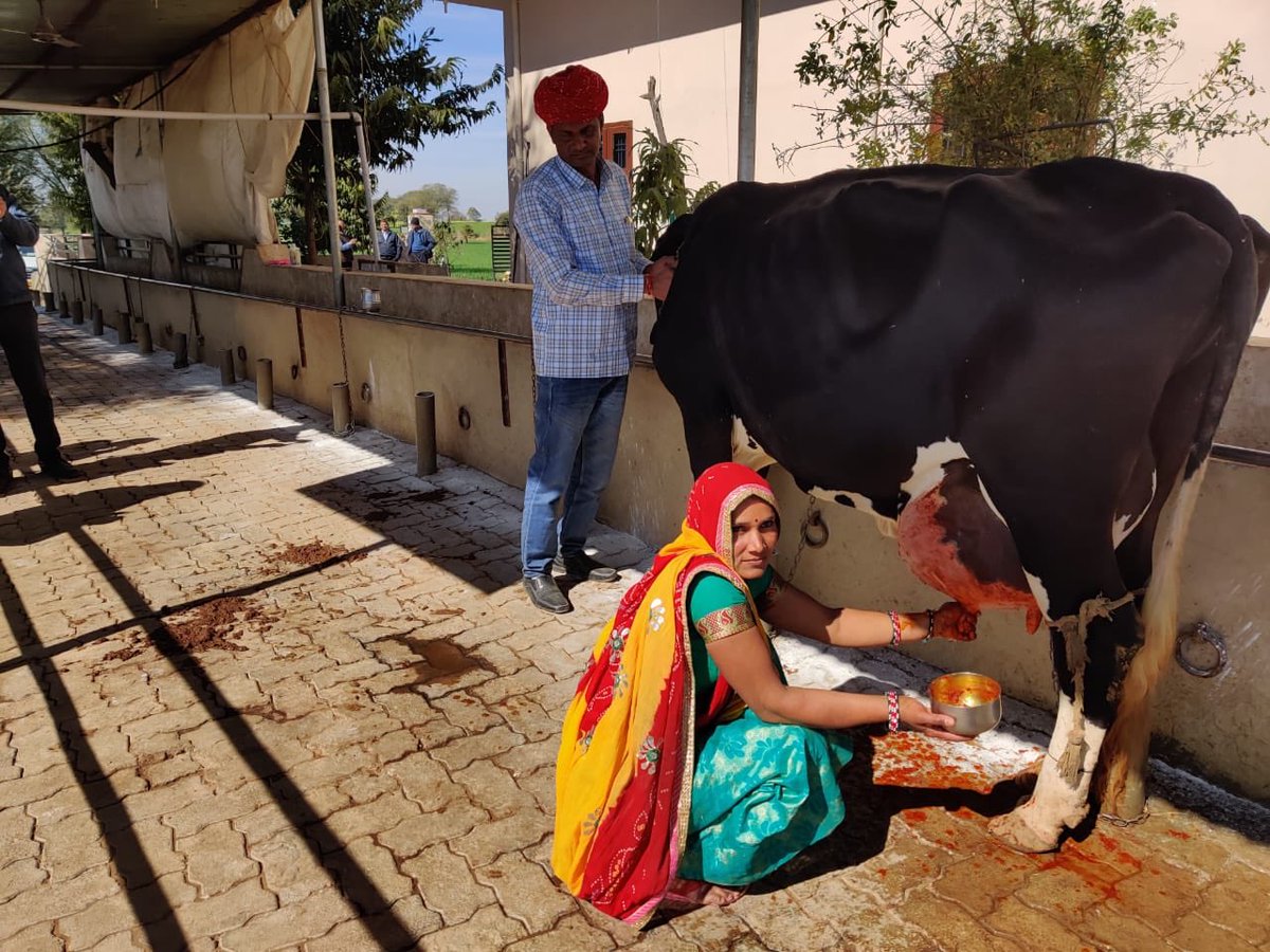 Farming Leader tweet media