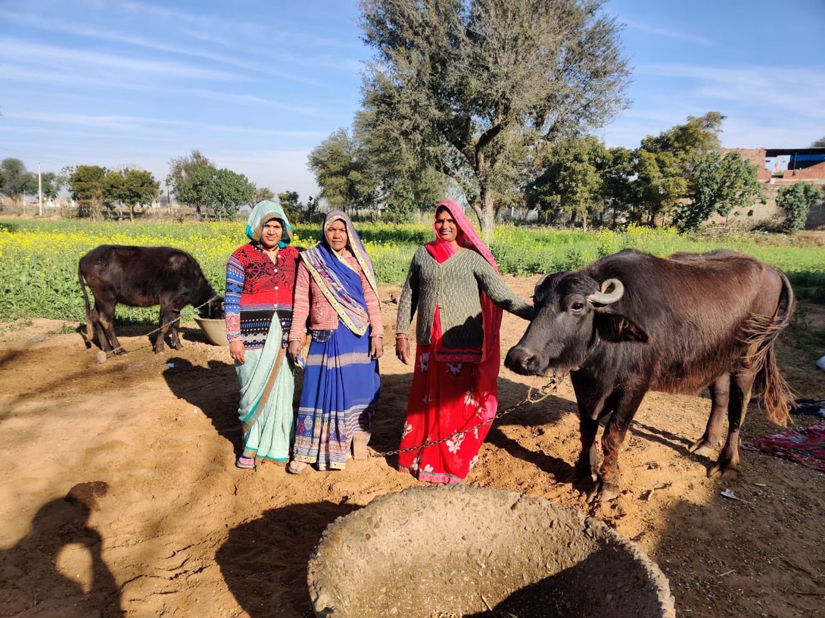 Farming Leader tweet media