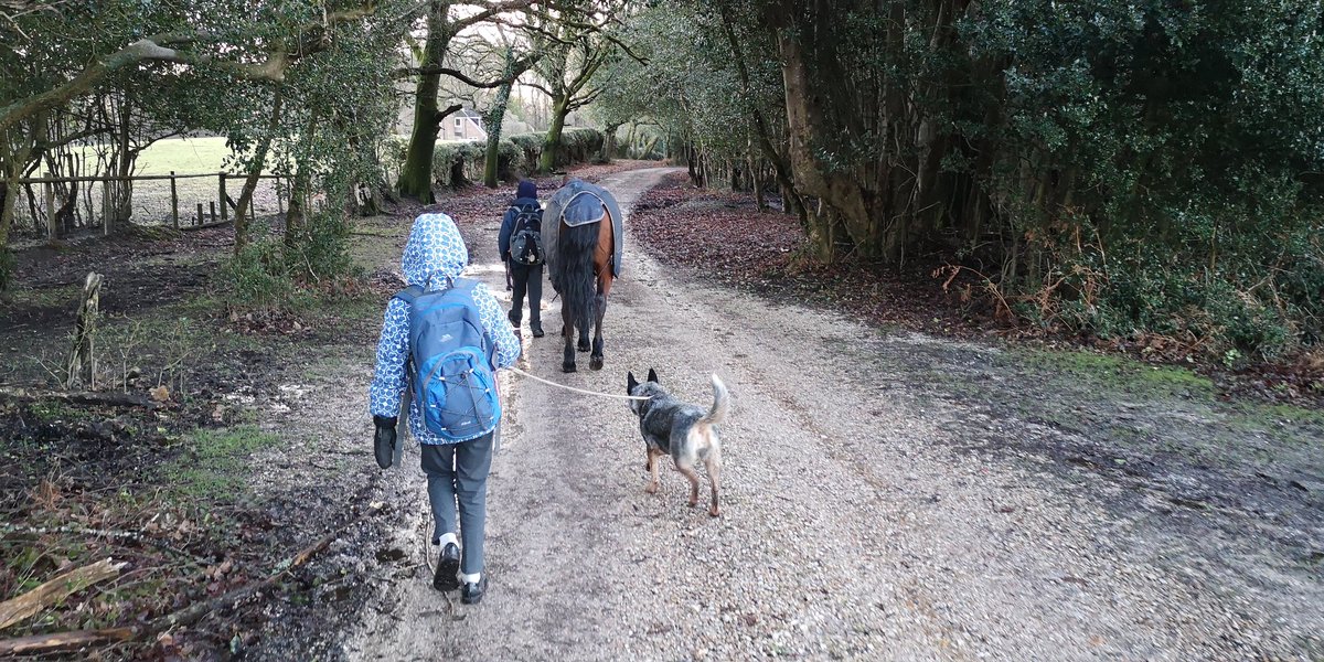 Brush your hair, clean your teeth, put your shoes on, are you wearing a coat, where is your reading diary, have you got your pony?

#farmlife
#TuesdayMorning