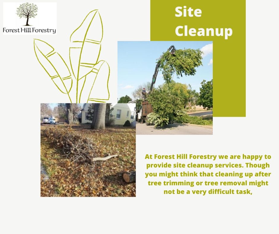 it can be tedious and time consuming if you do not have the proper equipment and experience. Call <a href="/FHForestry/">Forest Hill Forestry</a> at +437 776 4172 now.