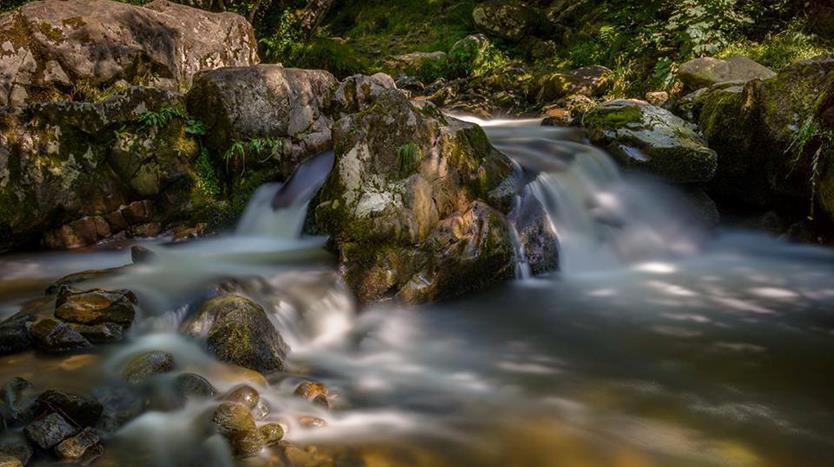 Looking for inspiration for what to do with the kids when you are at Old Park Wood, check out this link > dayoutwiththekids.co.uk/things-to-do/n…