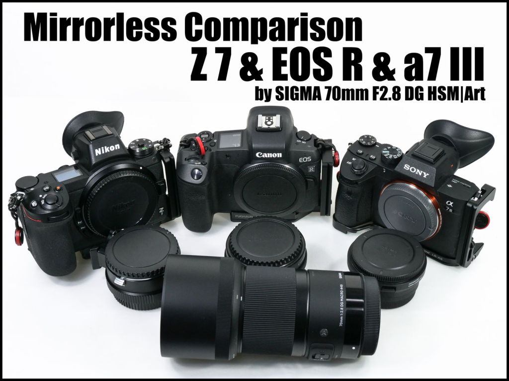 とるなら 久しぶりの フルサイズミラーレス比較 記事を公開 今回はz 7 Eos R Iiiを共通する1本のレンズ 70mm F2 8 Dg Dn Art を使って解像性能を比較しています Canon Nikon Sony T Co Nqdggaiqrc T Co I5obnptz8e