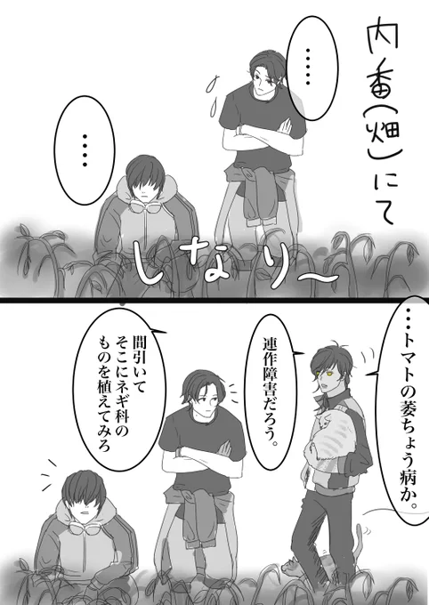 最近畑を始めた江さん達と
畑に詳しい大倶利伽羅さん

#刀剣乱舞
#豊前江 
#桑名江
#大倶利伽羅 