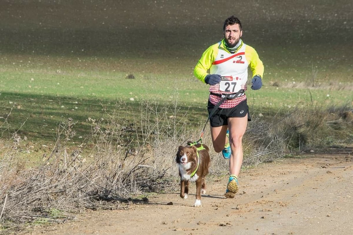 CDLaVictoria_'s tweet photo. JAVIER LÓPEZ, DEL CD LA VICTORIA VALLADOLID, EN LA CARRERA CANICROSS DE @AytoArroyo 
#CDLaVictoriaValladolid #Contigo https://t.co/6fv1Ort4OM