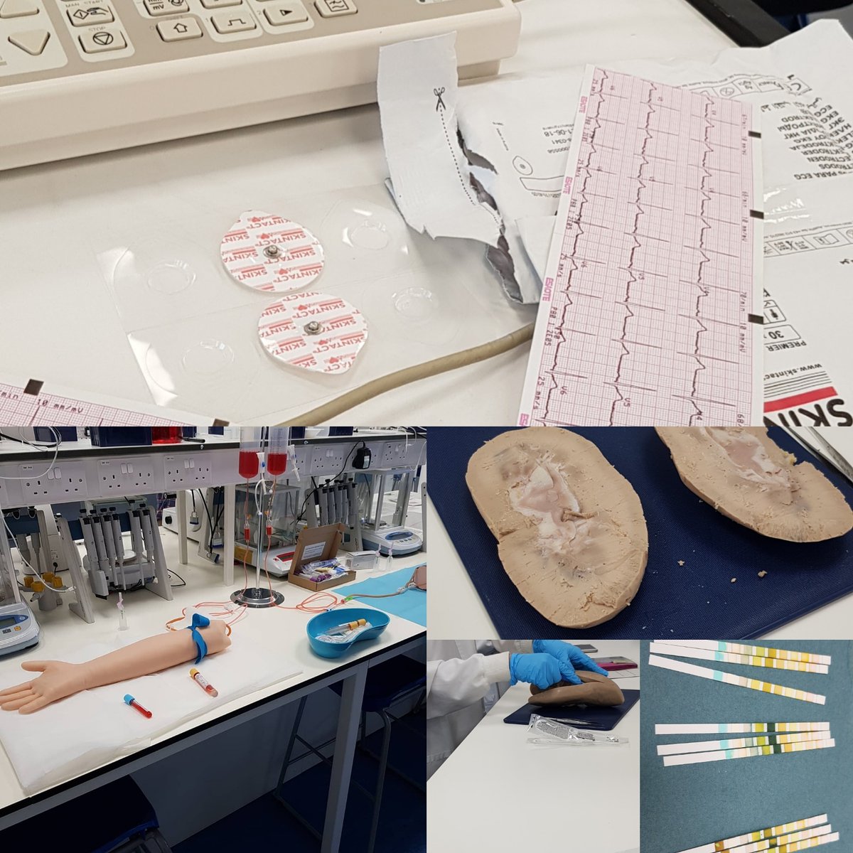 ganye91's tweet photo. Have students with an interest in medical sciences?

Our insight day for post16 students 
@uochester is filling up fast!
 
Join @UoCMedSchool to try Haematology, Biomedical Science, Immunology, Physiology &amp; Anatomy &amp; more!

#UCAS #STEMengagement #STEM

https://t.co/T5kH0ec2OT https://t.co/dwM3LOn6W5