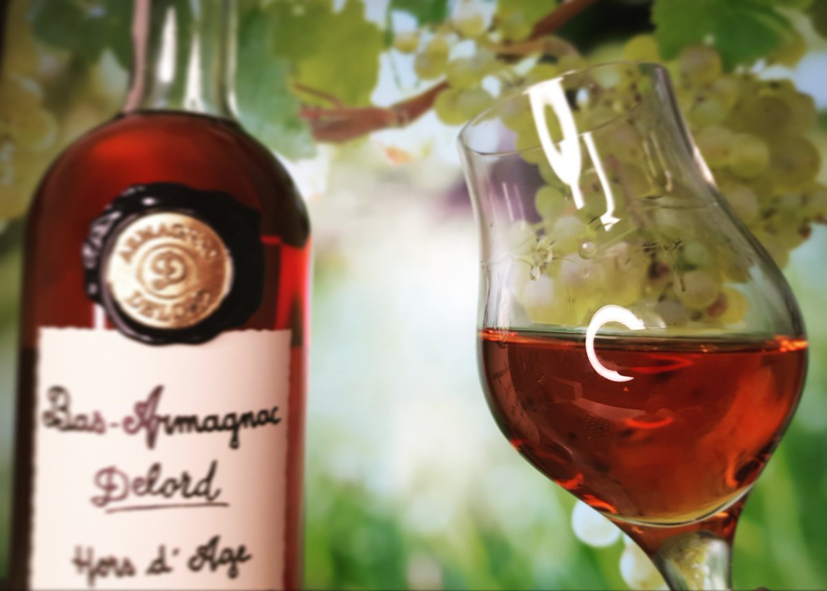 VaultofSpirits's tweet photo. January makes me longing for sun and grapes... This is me longing (from my office)... giving you 🙌Hors d'Age Bas-Armagnac from Delord.
Hors d’Age is an Armagnac without a specific age. However the eur-de-vie in this blend has to be at least 10 years old.
https://t.co/H1c17eNfz1 https://t.co/u9ha0CPWy9