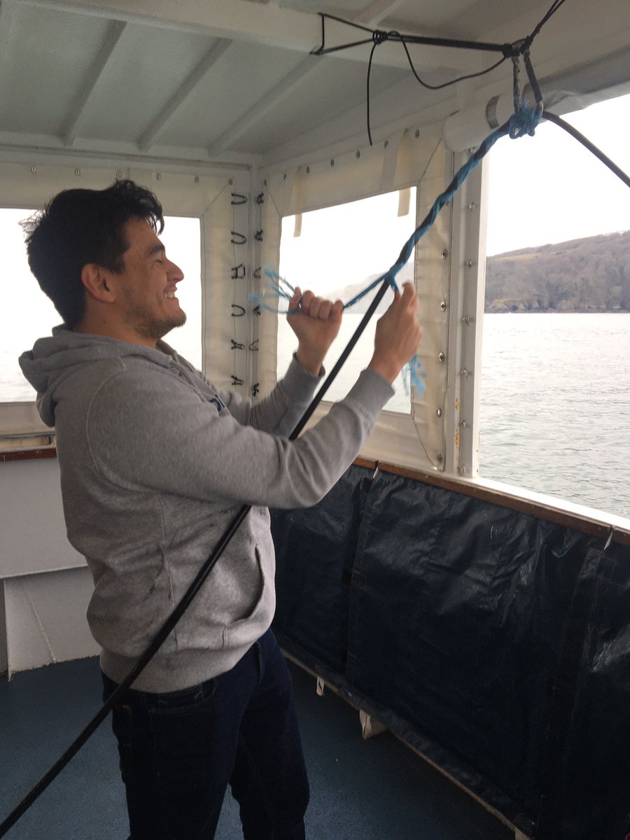Seiche Training tweet media