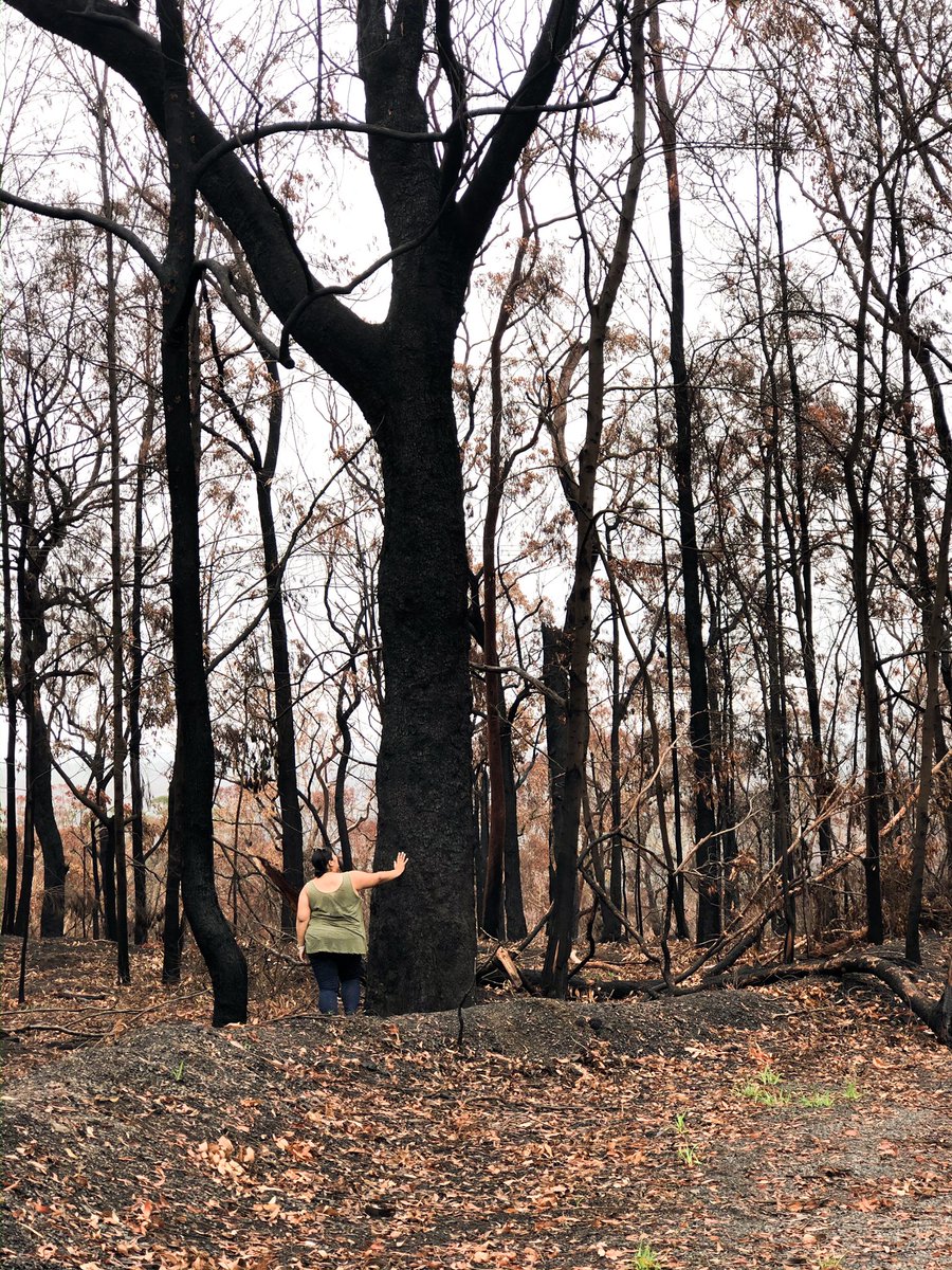 The Mum Blog tweet media