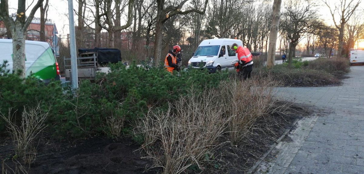 SIGHTLS's tweet photo. In de 1e weken van het nieuwe jaar is er hard gewerkt aan het snoeien en aanplanten van plantvakken aan de Helperzoom in Groningen! Straks volop groei en bloei aan de Helperzoom! #wijmakendewereldmooier #groningen #sightlandscaping #groen #helperzoom @gemeente_groningen https://t.co/ZOKqXGa6qv