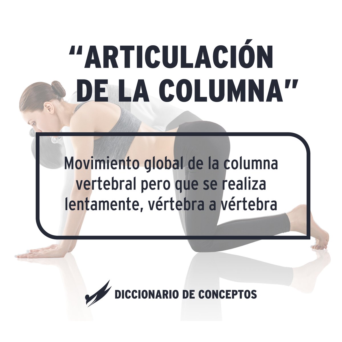 ✅ ARTICULACIÓN DE LA COLUMNA ✅ 
.
.
.
.
.
.
.
#OrthosFormacion #Orthos #Wiki #Articulaciondelacolumna #Osteopatia #Quiromasaje #Quiromasajedeportivo