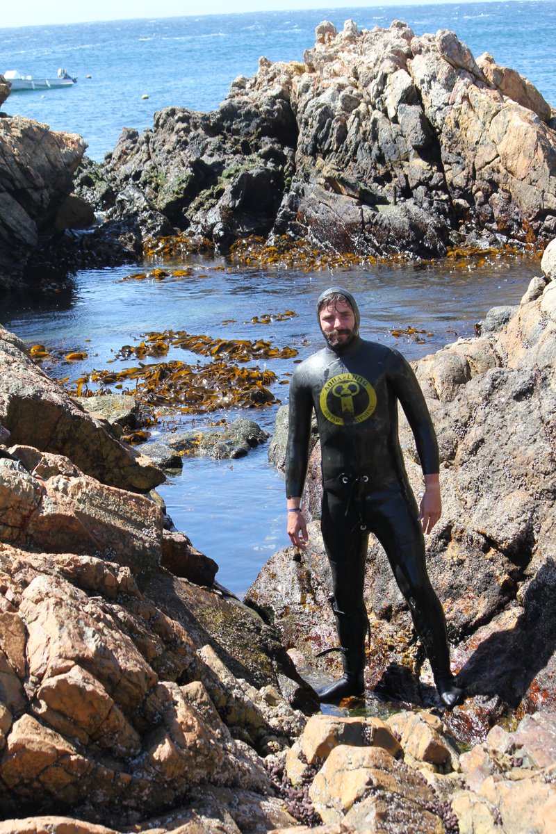 capeschile's tweet photo. Felicitamos al investigador #CAPES, @Nucleo_CESIEP y #NucleoMussels, Stefan Gelcich, por convertirse en el receptor n° 46 del Premio Rosenstiel en Ciencias Oceanográficas, otorgado por la @univmiami a científicos destacados en el estudio de los océanos 👉https://t.co/QWq9zwFkpr https://t.co/W6Bk0uauUx