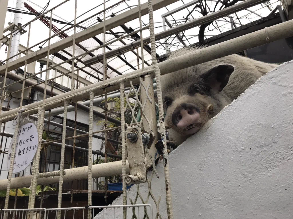 建築経験の無い夫婦が作り上げたマンションが異次元過ぎる！？