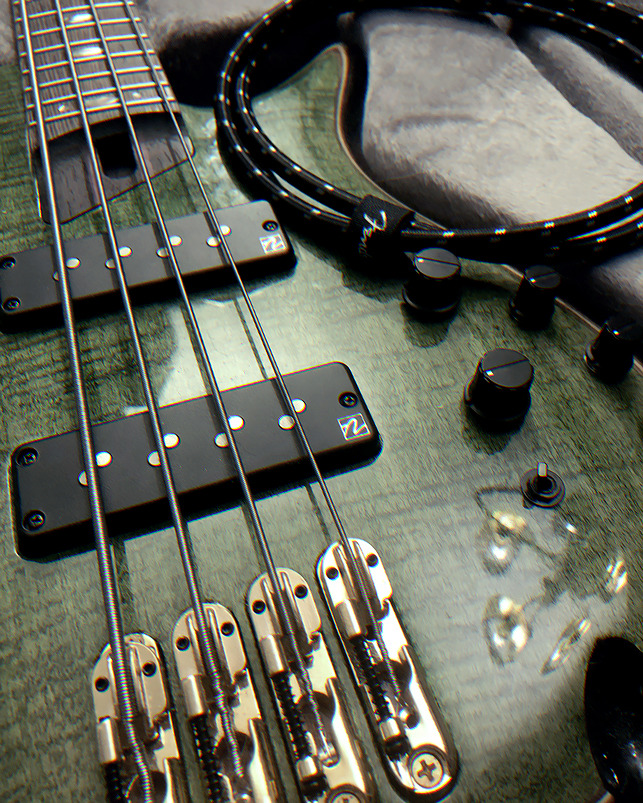 This instrument has some serious erotic vibes..
.
#ibanezsr #ibanez #visualkei