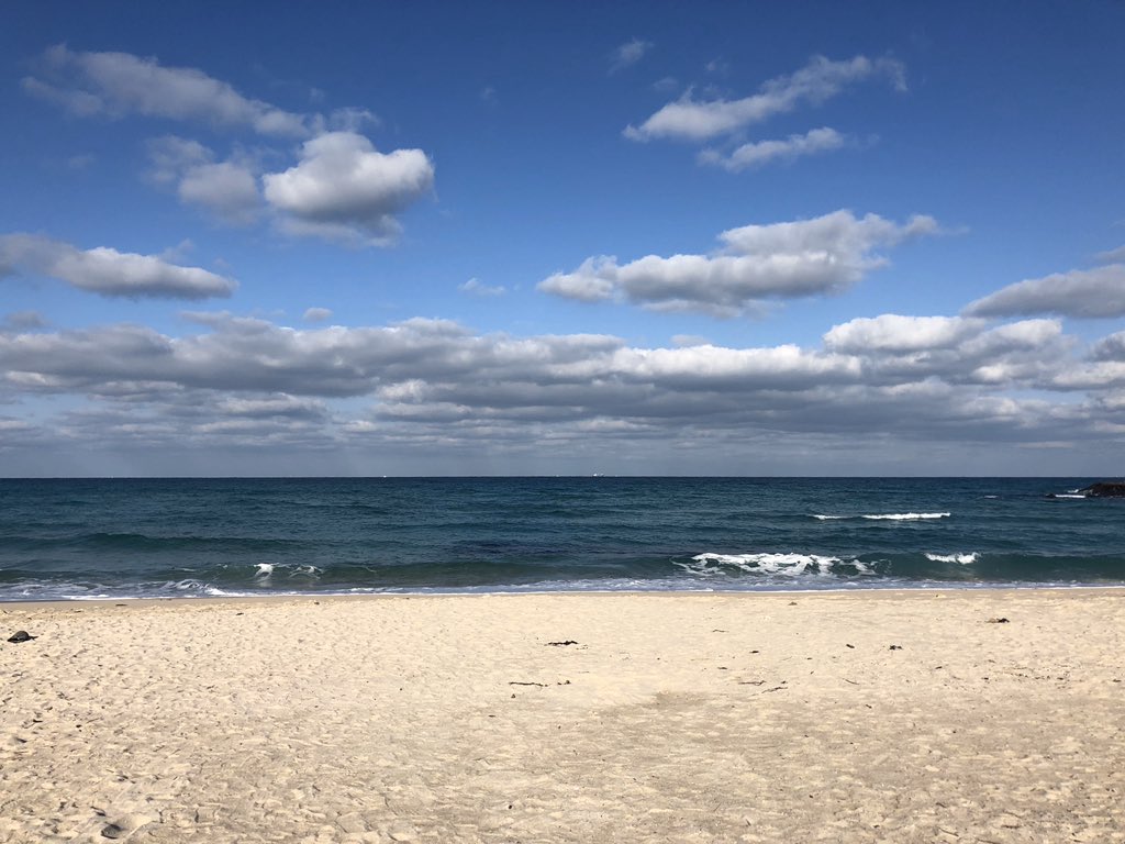 늦었지만 새해 복 많이 받으세요〰️🙇🏻‍♀️