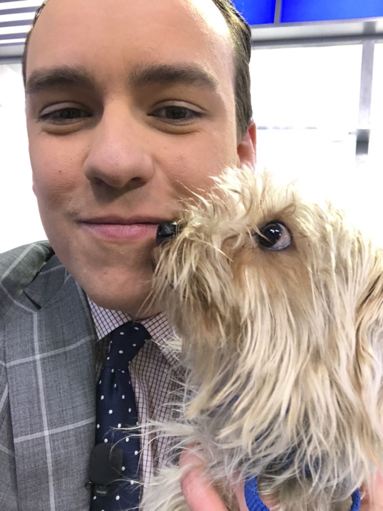 JustinTGee's tweet photo. Warning: our pet of the day is a cutie!!! Coming up next on #CBS58AM. Let's find Mr. Muscles a good home!! https://t.co/kwtqFiL9NM
