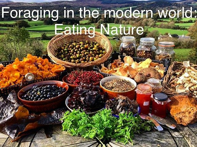 markwildfood's tweet photo. How does foraging fit into a society set on consuming itself? A series of blogs exploring this question on my wild food guide now - link in bio, or here https://t.co/q9nLwD21P3
#foraging
#wildfood
#restoringvitalconnection
#rewildinghumans https://t.co/7g4xC8dEHS https://t.co/6e2umen1Pe