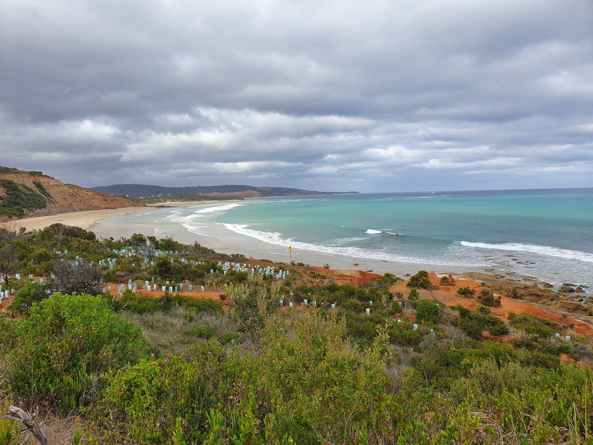 This week I say goodbye to my @EPA_Victoria family after 12 years. I've been fortunate enough to work with some amazing people and the past 2 years leading the Resource Recovery Taskforce has been the most challenging but rewarding of my career. Thanks to all for the support.