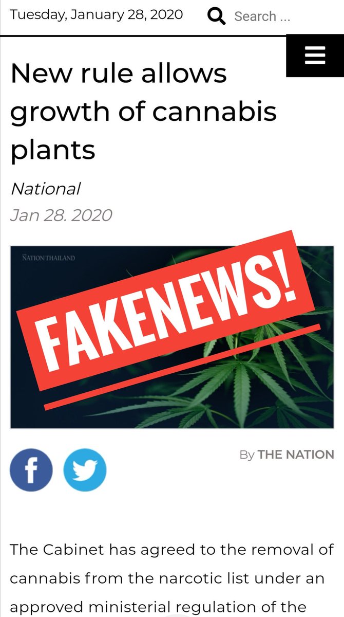 Kitty Chopaka tweet media