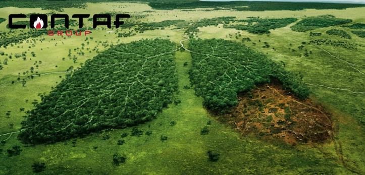 ContafLtd's tweet photo. Consider alternative sources of fuel for cooking and space heating
#AvoidDeforestation #TuesdayMotivation #GasPlumbing #GasReticulation #ModernLiving
@KenyaPower_Care @KEPSA_KENYA @CofekRebranded @ForestSociety @EPRA_Ke https://t.co/hjmI8UCQgm