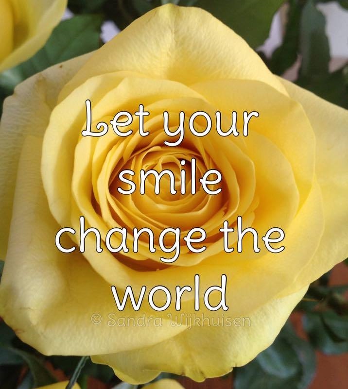 YellowRosesNL's tweet photo. Op zoek naar 5 #kapsters Die zich vrijwillig willen inzetten voor de 15e #beauty Beauty verwendag van onze Stichting. zaterdagmiddag 16 mei in #ettenleur #kanker #kapster #borstkanker #Fohnen #styling INFO: 0615664012 https://t.co/xN8MfWnomD