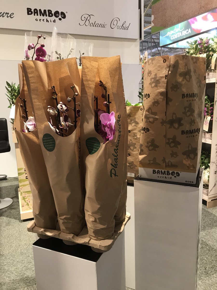 WooningOrchids's tweet photo. The IPM has started this morning! View our various concepts and orchids in booth 1A22 in hall 1.

#ipm #messeessen #ipm2020 #orchids #wooningorchids #phalaenopsis #dendrobiumnobile #essen https://t.co/2SH2QULD1R