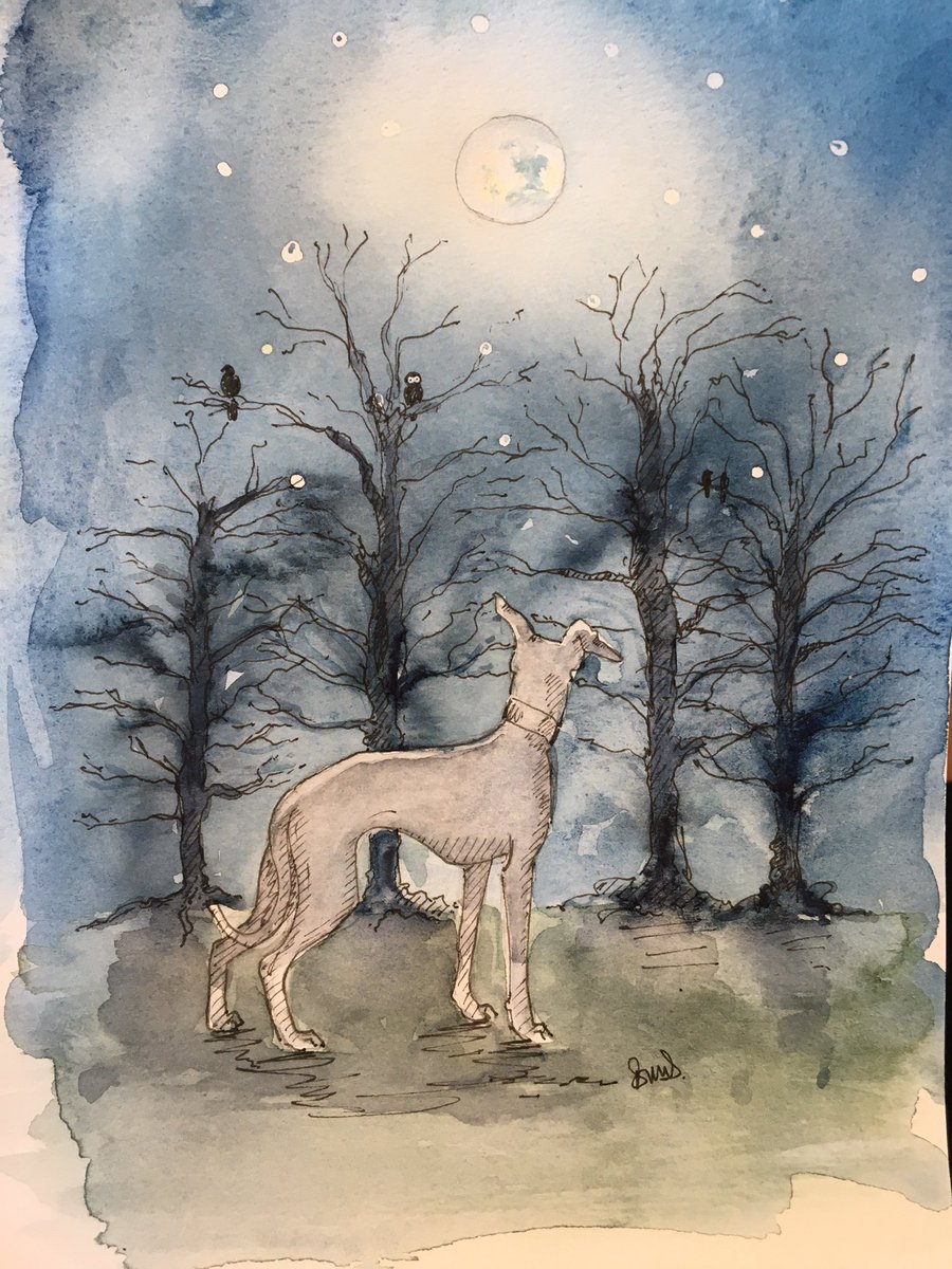 Barking at the Moon #Watercolour #sighthound