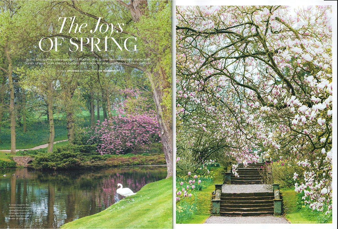 I'm delighted that my images have been used to illustrate a feature on the extremely beautiful gardens at Hodnet Hall, #Shropshire, in the latest edition of The English Garden magazine.
@TEGmagazine #hodnethall @ShropTourism @shropshireNGS