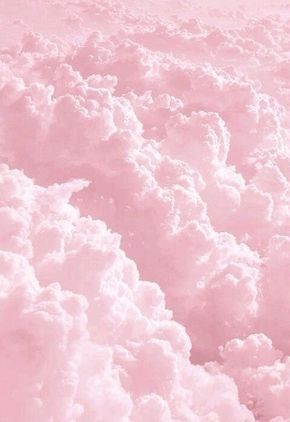 PinkMushroomGal's tweet photo. 🌺——(Official Starter Call)——🌺

[♡] Like this post for a starter from Toadette! 💕

[↻] Retweet to spread the word. 💫

🌟 DMs are always open to plot! 🌟

🌺—————————🌺 https://t.co/n2wL52igSs